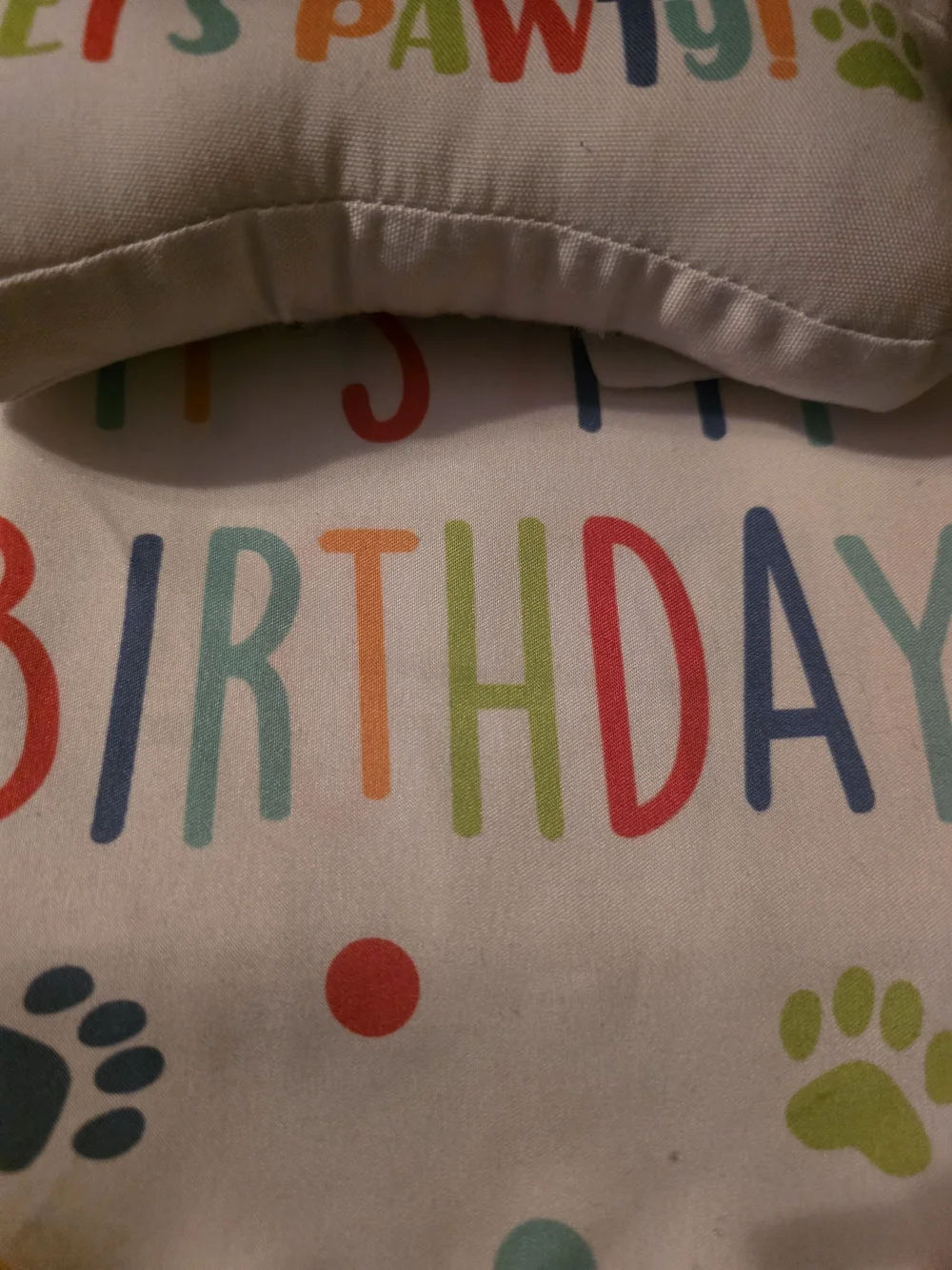 Hobby Lobby White Birthday Dog Bandana with Multicolor Lettering and Orange Trim